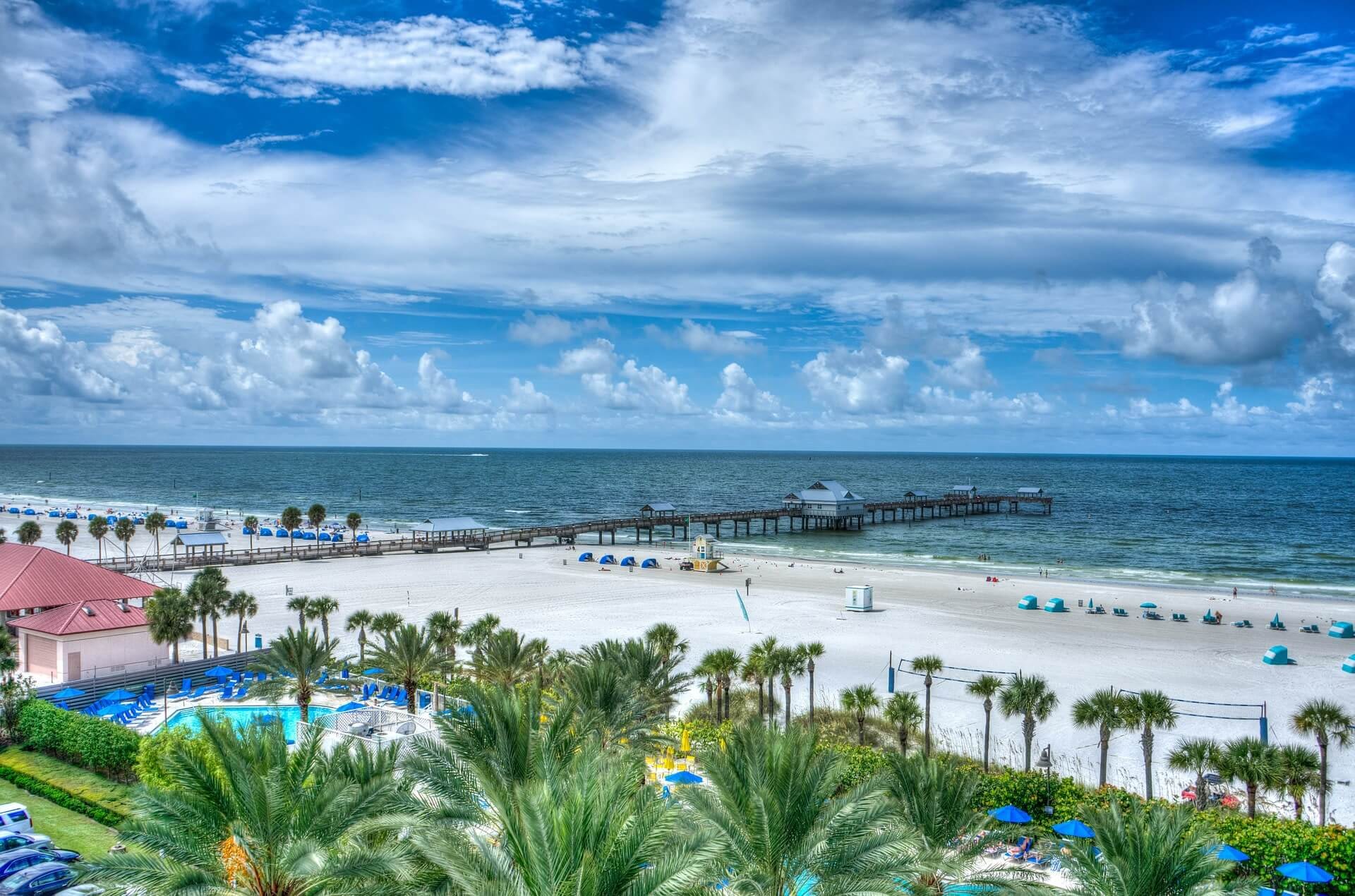 Keyword foco o que fazer em clearwater